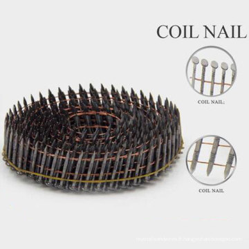 Hot Selling Plastic Coil Nails From China